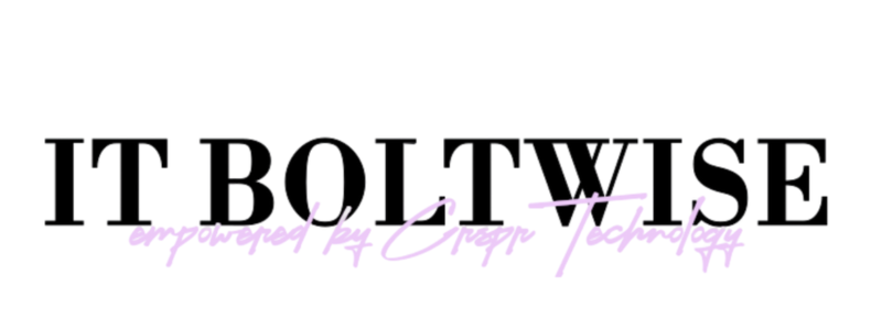 IT Boltwise logo